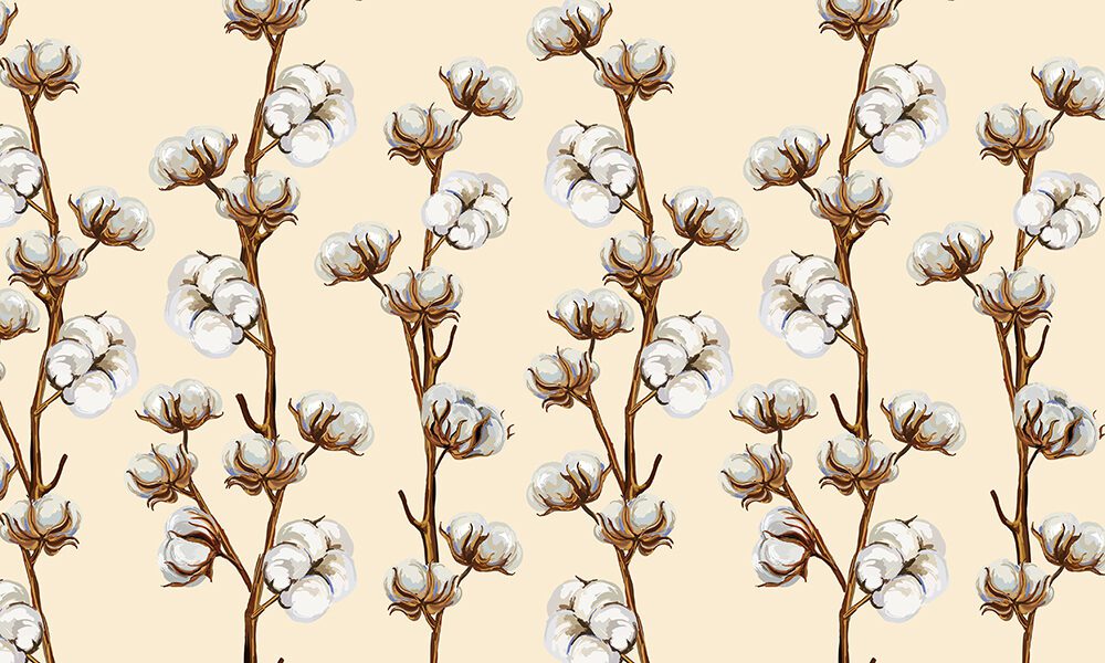 Fototapet-Cotton-Flowers-Tapet-Foto