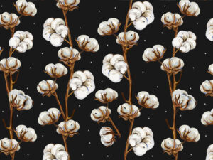 Fototapet-Cotton-Flowers-in-Black-Tapet-Foto