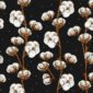 Fototapet-Cotton-Flowers-in-Black-Tapet-Foto