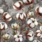 Fototapet-Cotton-Flowers-in-Grey-Tapet-Foto
