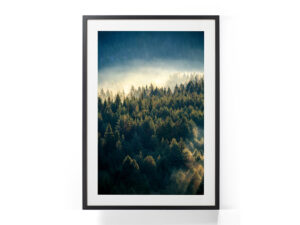 Tablou-Misty-Pine-Forest