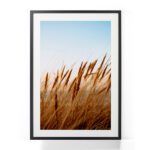 Tablou-Serenity-Wheat-Field