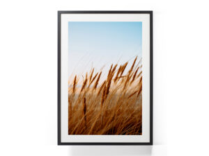 Tablou-Serenity-Wheat-Field
