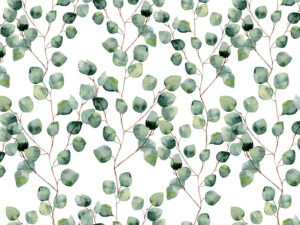 Tapet-Eucalyptus