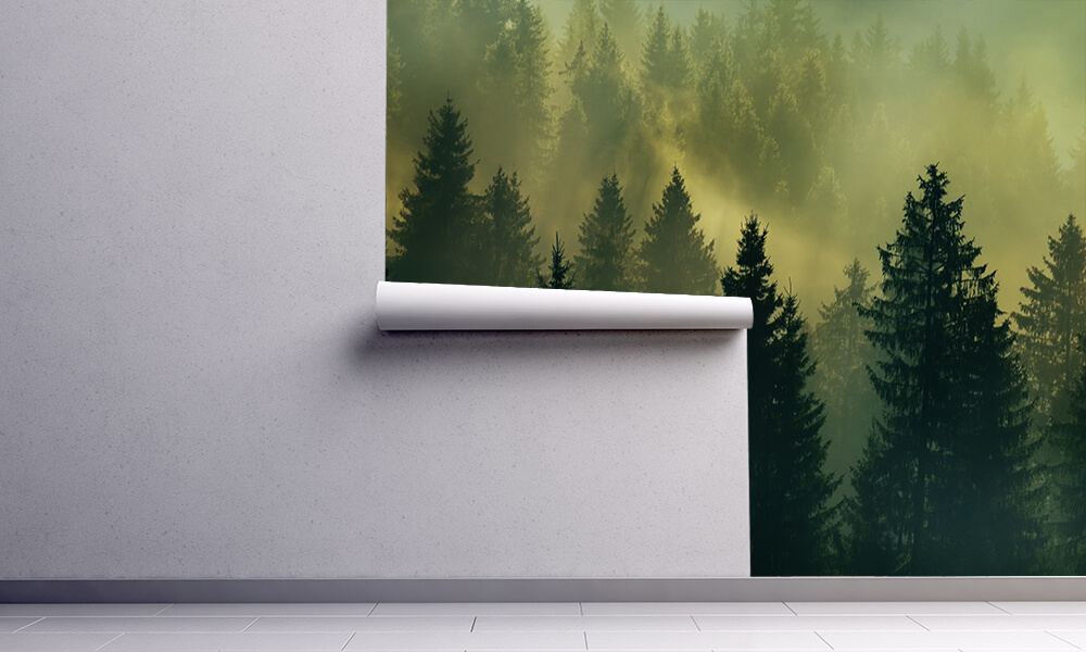 Tapet-Foggy-Forest