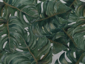 Tapet-Philodendron-in-Grey (2)