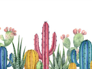 tapet-watercolor-cactus