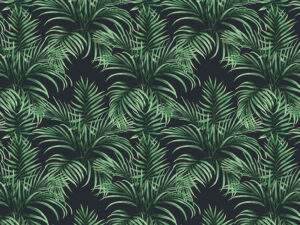 Tapet-Coconut-Palm-Leaves