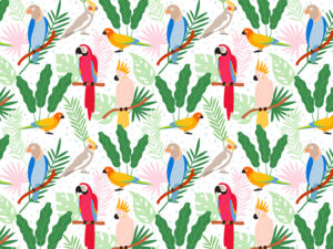 Tapet-Colorful-Parrots