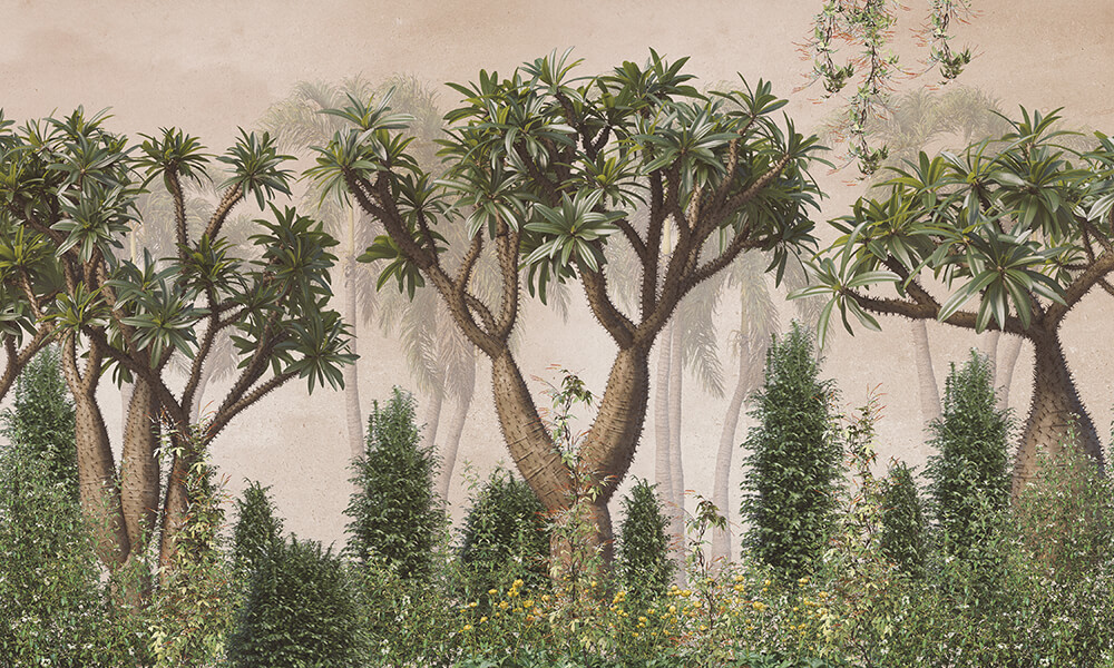 Tapet-Tropical-Foggy-Forest