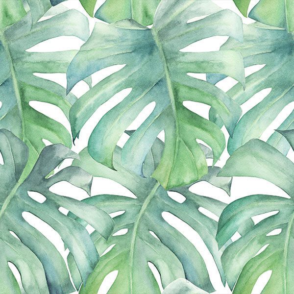 Tapet-Giant-Philodendron