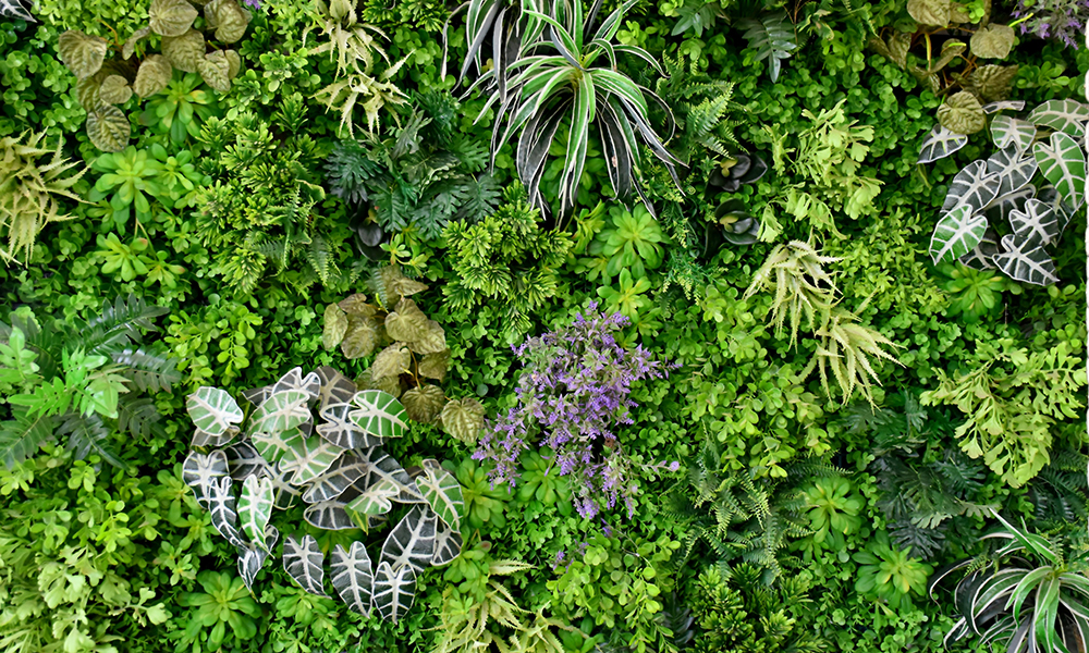 Tapet-Vertical-Garden-tapet-baie-tapet-frunze-tapet-verde