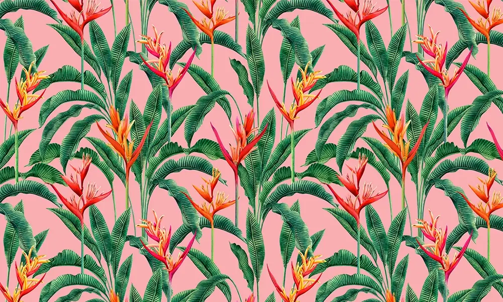 Tapet-Bird-of-Paradise-tapet-tropical-tapet-exotic-tapet-frunze-tropicale-tapet-floral-fototapet-tropical-tapet-la-comanda-tapet-personalizat